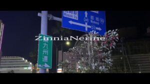 GaLeの新曲のMIXをQujaが担当